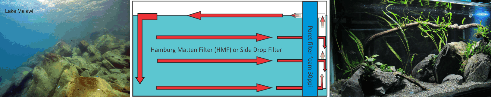 Scapefactory HMF Mattenfilter Hamburger Mattenfilter sehr fein